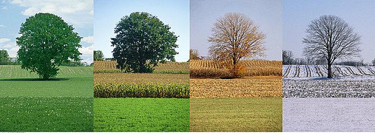 《暗黑破坏神4》确认和《剑风传奇》展开联动