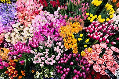 英伟达：《F1 2021》开启DLSS后 4K最高有65%性能提升